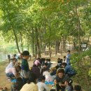 보라초등학교 이미지