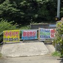 지리산예치마을당근펜션 | 산청 계곡 물놀이 추천 예치마을 내대계곡 취사 가능한 평상 예약 및 샤워실 정보 (25.07.06 다녀온 후기 )
