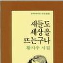 새들피아노 이미지