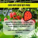 아희레저 이미지