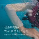5일차 | 아침부터 저녁까지 꽊꽊 채워서 놀기(거북이스노쿨링 하와이바다, 치즈케이크팩토리, 야드하우스)