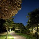 칠십리공원 공중화장실(2) | 속 힐링 숲과 야경의 조화 '칠십리시공원 야간산책' 완벽 가이드 (주차·화장실·하영올레 코스 총정리)