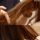 서비스케어 | 다비네스 시코르 강남역점, 테라피스트 헤드스파 서비스 두피케어 후기 추천 !