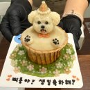 꼬리별펫케이크 이미지