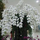 서천생태공원 이미지