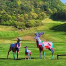 장수골프리조트 이미지