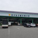 내서농산물도매시장 | 창원원예농협 공판장 경매시세 확인하는 법, 경락가 읽는 기준까지