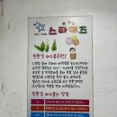 스타키즈 | 울산 수영, 성인 새벽반 수영, 스타키즈어린이전용수영장