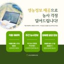 김제유기농농업, 땅이 살아나면 작물이 이렇게 됩니다