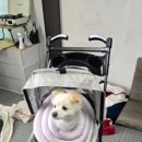 카카오 이미지