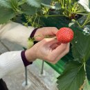 장태산농장 이미지