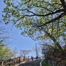 어반스케치(기초) 이미지