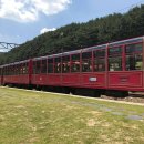 분천산타마을 자전거셰어링 이미지