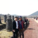 제주돌박물관 이미지