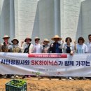 미니정원 이미지