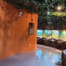 양서·파충류생태공원 1층 이미지