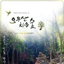 오두산 치유숲 이미지