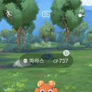 파로스 이미지
