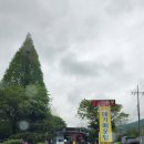 송지메기매운탕 이미지