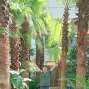 쌈도둑들 이미지