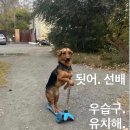 영상쟁이들 네이버블로그