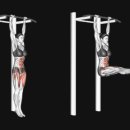 오늘보다내일짐 이미지