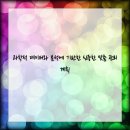 피부건강관리