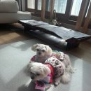 남문동물병원 이미지