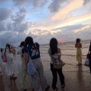 반딧불 프리미엄 이미지