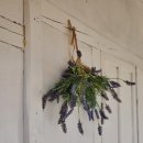 쉼 토평리 이미지