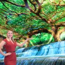 상업용 88 이미지