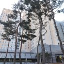 어진동_문화체육관광부 이미지