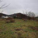 금강생태마당 이미지