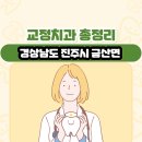 공군교육사 기지병원 | 경상남도 진주시 금산면 교정치과 총정리
