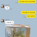 하스케이크 이미지
