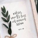 제이조이플 이미지