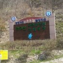 민속인삼