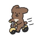 당정회센터 이미지