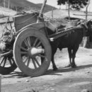 옛날옛적에 이미지