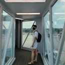 에어로케이항공 청주 ↔ 제주 노선 탑승후기 (feat. 충청권 신생항공사 Aero_K)