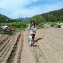 미녀네농장 이미지