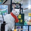 매표소 이미지