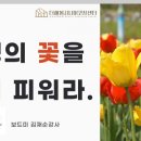 (주)보드미
