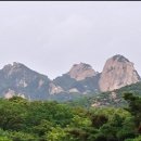 북한산 우이동 만남의광장 둘레길 울창한 숲길 계곡따라 힐링영상{8/12} 이미지