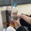 [여행] 인생 첫 동유럽 9박 10일 유럽여행 시작 후기! 짐싸기 꿀템추천+인천 공항버스 후기(Feat...