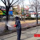 공단로가로수 이미지