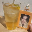 은석들천 | 이번주의 일상은 이렇습니다