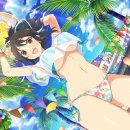 피치비치 이미지