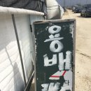 용배 | 대전 근교 딸기체험 :: 논산 용배랜드 체험후기