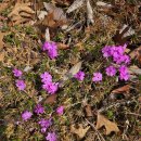 방개농장 이미지